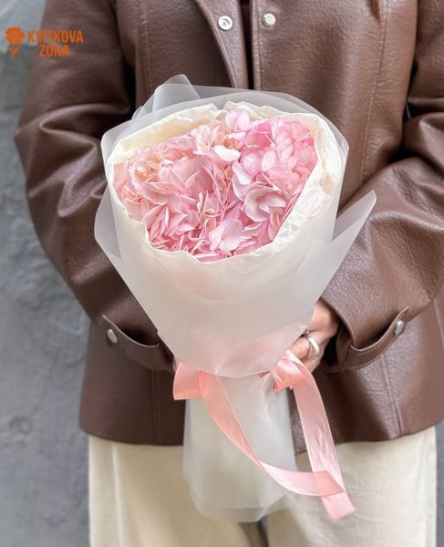 1 Pink Hydrangea