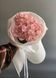 1 Pink Hydrangea