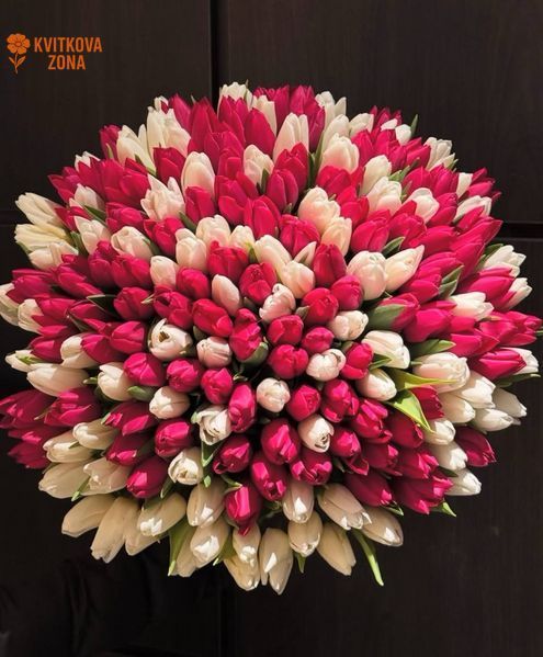 201 tulips (white & red mix)