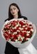 201 tulips (white & red mix)