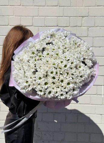 39 кустовых хризантем Ромашка 5208 фото