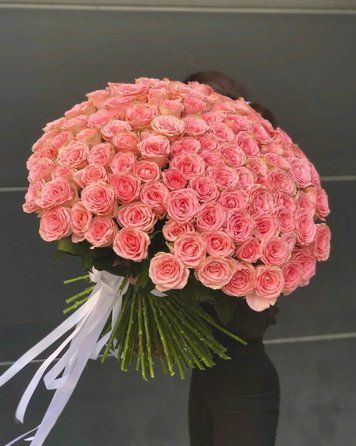 101 роза Софи Лорен 2550 фото