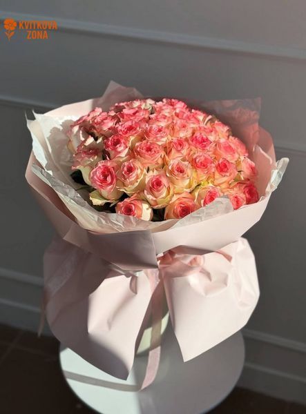 35 Jumilia Roses