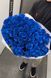 51 Blue Roses