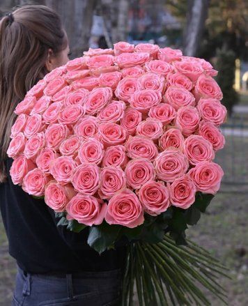 69 roses Sophia Loren