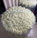 101 French white roses in a basket