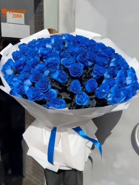 151 roses Blue