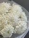 9 white chrysanthemums