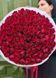 101 Madam Red rose
