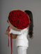 101 roses Explorer 60 cm