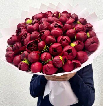 59 Red Charm peonies