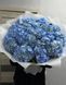 23 blue hydrangeas