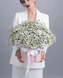25 gypsophila in a box