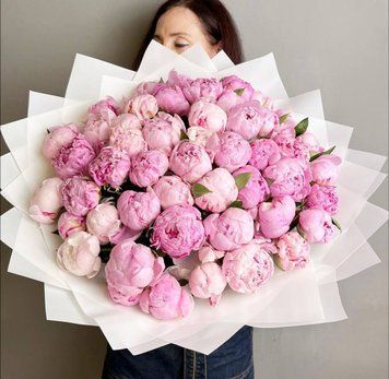 55 Sarah Bernhardt peonies