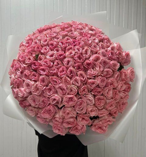 151 perfumed roses Pink O'Hara