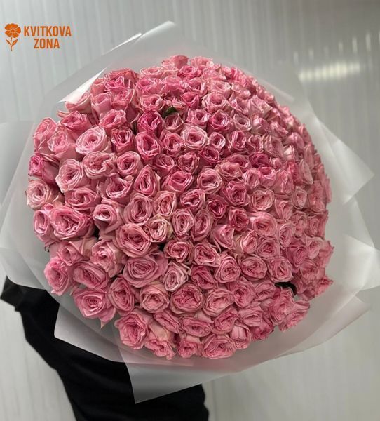 151 perfumed roses Pink O'Hara