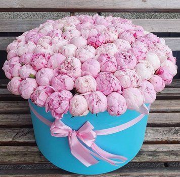 101 Sarah Bernhardt peonies in a box