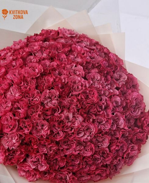 101 Roses Country Blues
