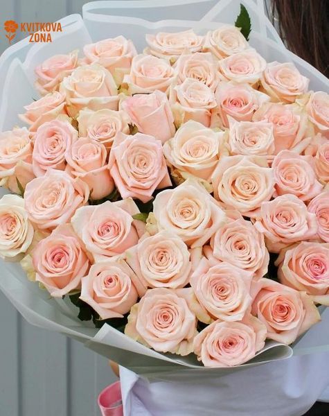55 Kimberly Roses