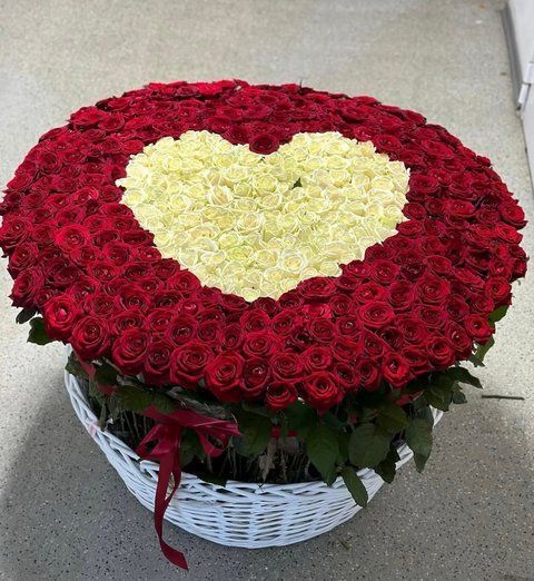 501 roses "Heart" in a basket