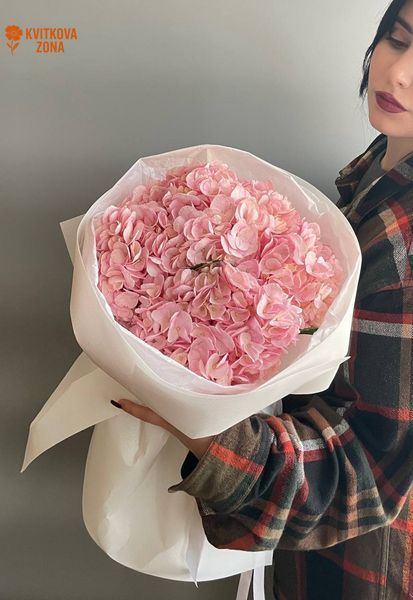 3 Pink Hydrangeas