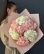 7 White & Pink Hydrangeas