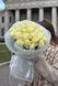 25 Mondial Roses