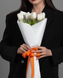 Bouquet of 5 tulips
