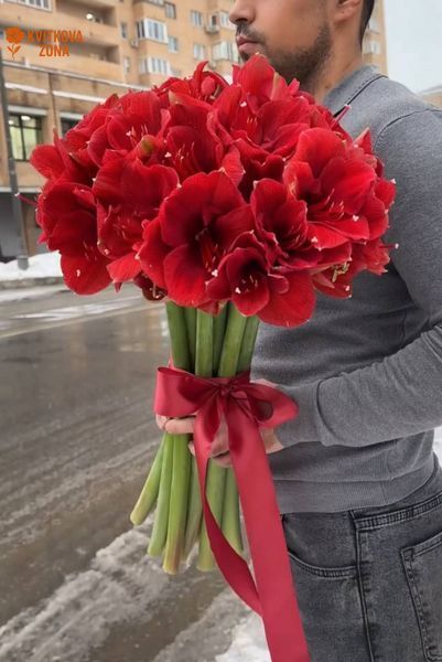 9051 фото