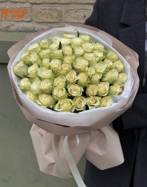 55 Athena Roses
