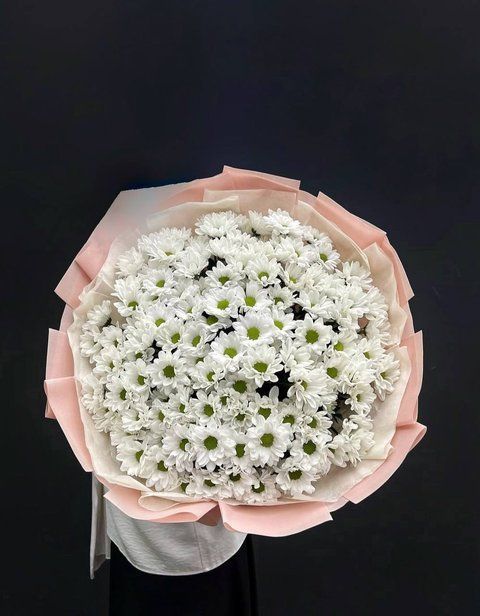 29 Chamomile Chrysanthemum Stems