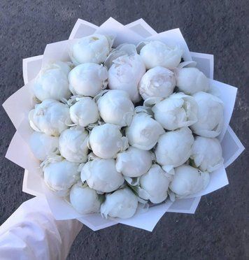 25 White Peonies