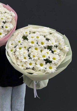 15 кустовых хризантем Ромашка 5203 фото