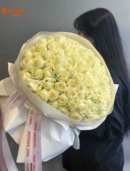 101 Avalanche Roses 50 cm