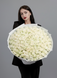 101 Avalanche Roses 50 cm